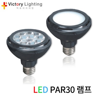 LED PAR30 15W 집중형/확산형